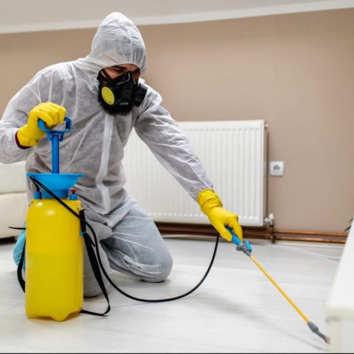 Termite Treatment in Pune | Vaishnavi Pest Control