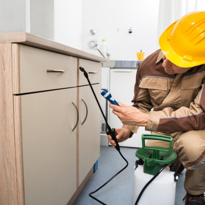 Pest Control Services in Pune | Vaishnavi Pest Control